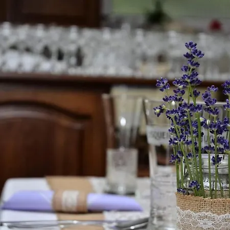Granit - Freshly Renovated באלאטונסארסו